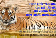 Ngụ Ngôn Nhâm Dần