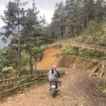 Người dẫn đường