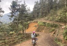 Người dẫn đường