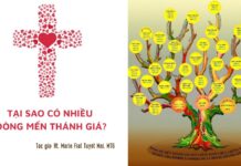 Tại sao có nhiều Dòng Mến Thánh Giá?