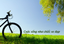 Cuộc sống như chiếc xe đạp