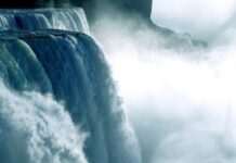 Sứ điệp của Đức Thánh Cha cho Ngày Thế giới Cầu nguyện cho việc Chăm sóc Thụ tạo 01/9/2022