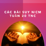 CÁC BÀI SUY NIỆM TUẦN 20 TN C