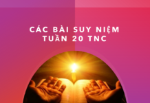 CÁC BÀI SUY NIỆM TUẦN 20 TN C