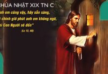 Các Bài Suy Niệm Chúa Nhật 19 Thường niên Năm C