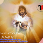 Các bài suy niệm Chúa Nhật 20 Thường niên Năm C