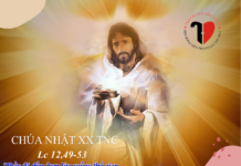 Các bài suy niệm Chúa Nhật 20 Thường niên Năm C