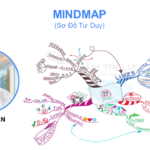 Khám phá não bộ- Phương pháp học tập qua sơ đồ tư duy