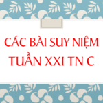 Các bài suy niệm tuần 21 Thường niên_C