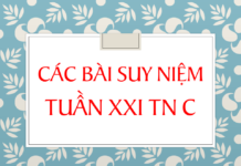 Các bài suy niệm tuần 21 Thường niên_C