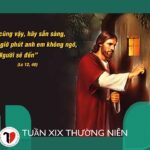 Các Bài Suy Niệm Trong Tuần 19 Mùa Thường Niên Năm C