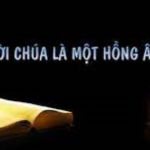 Các Bài suy niệm Tuần 30 Thường niên_C