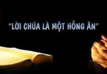 Các Bài suy niệm Tuần 30 Thường niên_C