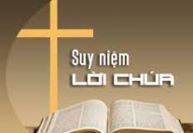 Suy niệm Lời Chúa hằng ngày: Tuần 6 Thường niên_A