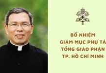 Bổ nhiệm Giám mục phụ tá Tổng Giáo phận Tp. Hồ Chí Minh