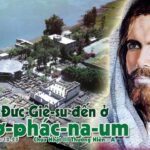 Lời nguyện tín hữu – Chúa Nhật 3 Thường niên_ A