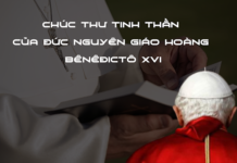 Di chúc tinh thần của Đức Giáo hoàng Bênêđictô XVI