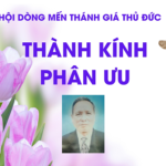 Phân ưu tới Nữ tu Maria Nguyễn Thị Bích Hồng và tang quyến