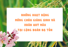 Những hoạt động mừng Chúa Giáng Sinh và Xuân Quý Mão tại Cộng đoàn Đạ Tồn
