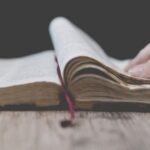 Khởi đầu Mùa Chay bằng việc đọc Thánh Vịnh 51