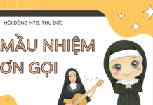 Mầu nhiệm ơn gọi