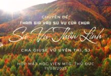 Tham gia vào sứ vụ của Chúa – Sứ vụ Thần linh