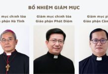 Bổ nhiệm Giám mục chính tòa các giáo phận Hà Tĩnh và Phát Diệm, Giám mục phó giáo phận Cần Thơ