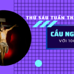 THU SAU TT