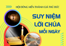 Suy niệm mỗi ngày, Tuần Bát Nhật Phục sinh