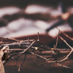 Tên trộm mão gai may mắn