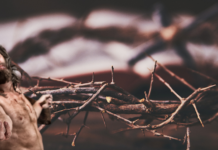 Tên trộm mão gai may mắn