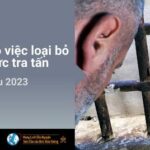 Ý cầu nguyện của Đức Thánh Cha Tháng 06/2023: Cầu nguyện để việc tra tấn bị loại bỏ