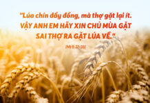 Lời nguyện tín hữu – Chúa Nhật XI Thường niên _A