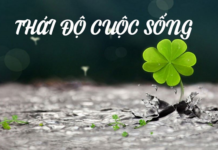 Thái độ trước những trái ý