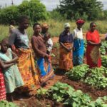 Thông điệp Laudato si’ đã thay đổi một bộ lạc ở Kenya