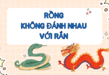 Rồng không đánh nhau với Rắn