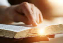 Vẻ đẹp của các Thánh vịnh trong đời sống Kitô hữu