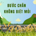Bước chân không biết mỏi