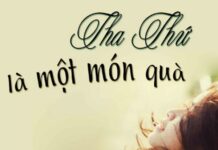 Các bài suy niệm Chúa Nhật 24 Thường Niên Năm A