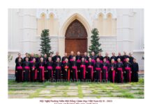 Hội đồng Giám mục Việt Nam: Thư mục vụ gửi cộng đồng Dân Chúa về Giáo hội tham gia