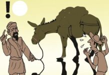 Con lừa và cái bóng