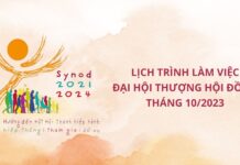 Lịch trình làm việc Đại hội Thượng Hội Đồng tháng 10/2023