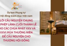 Ủy ban Phụng tự: Lời cầu nguyện chung và phép lành cuối thánh lễ để cầu nguyện cho Thượng Hội đồng