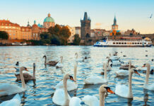 Ô cửa sổ bệnh viện