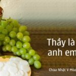 Các bài suy niệm Chúa Nhật 5 Phục sinh Năm B