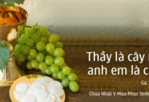 Các bài suy niệm Chúa Nhật 5 Phục sinh Năm B