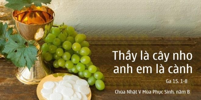 Các bài suy niệm Chúa Nhật 5 Phục sinh Năm  B