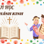 Vui học Thánh kinh – Chúa Nhật 32 Thường niên_C
