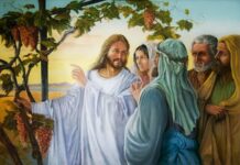 Lời nguyện tín hữu – Chúa Nhật 5 Phục Sinh_B