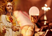 Ơn Chúa theo tôi vào đời